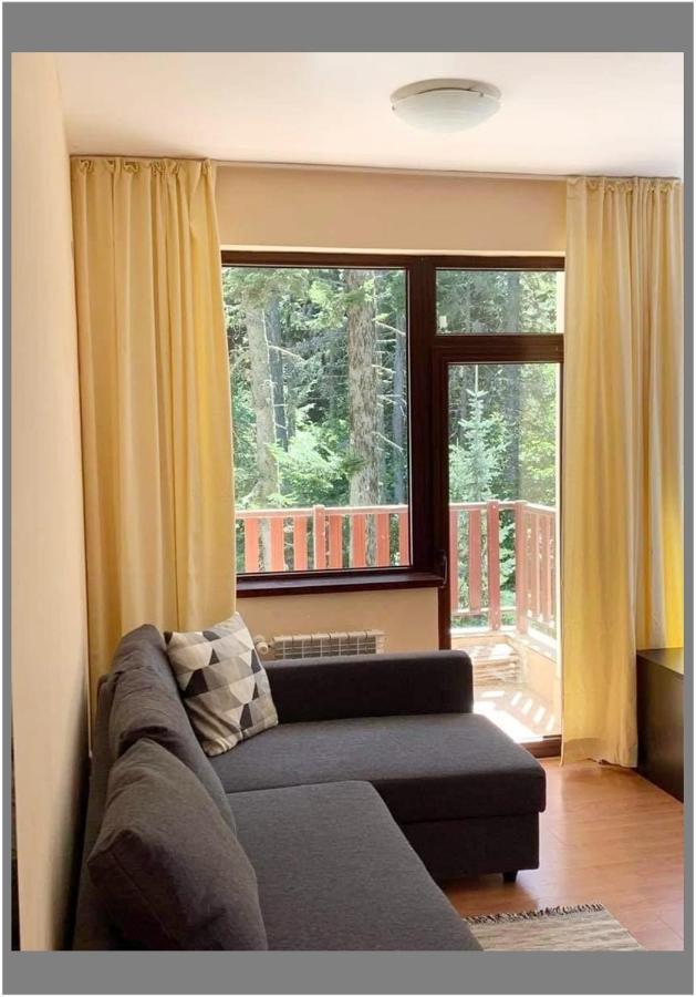 Flora Ski-Slope Studio Apartment Borowez Exterior foto